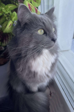 Sjöboknäppans Dagny a09