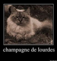 Champange dee lourdes 2