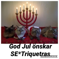 Triquetras